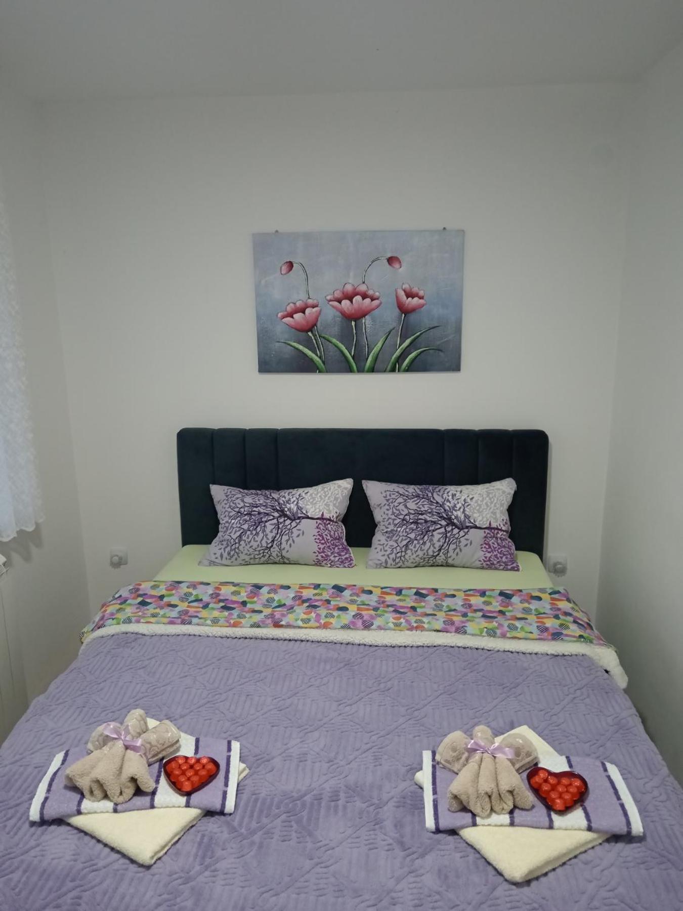 Apartman Lara ピロト 部屋 写真