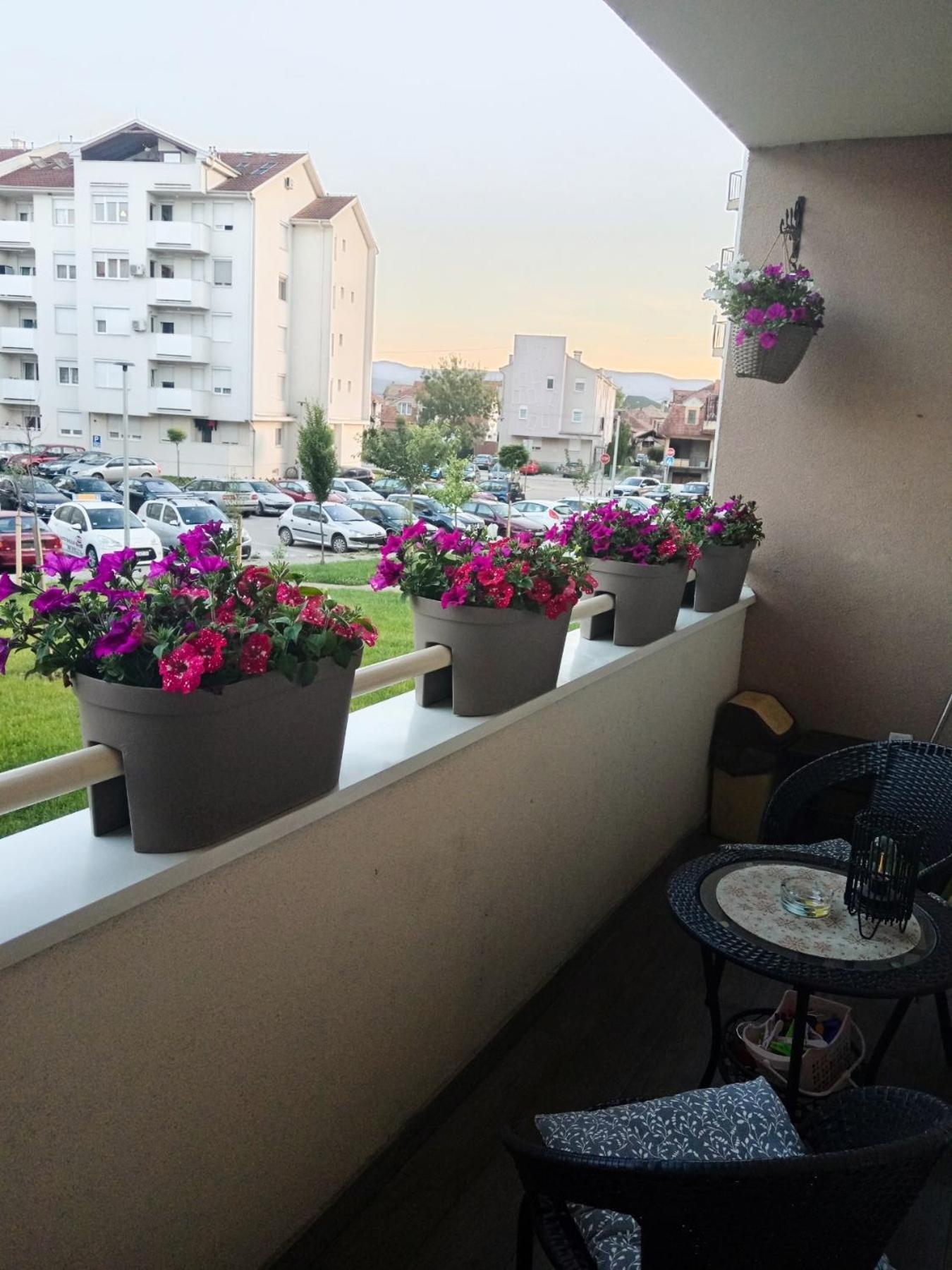 Apartman Lara ピロト エクステリア 写真