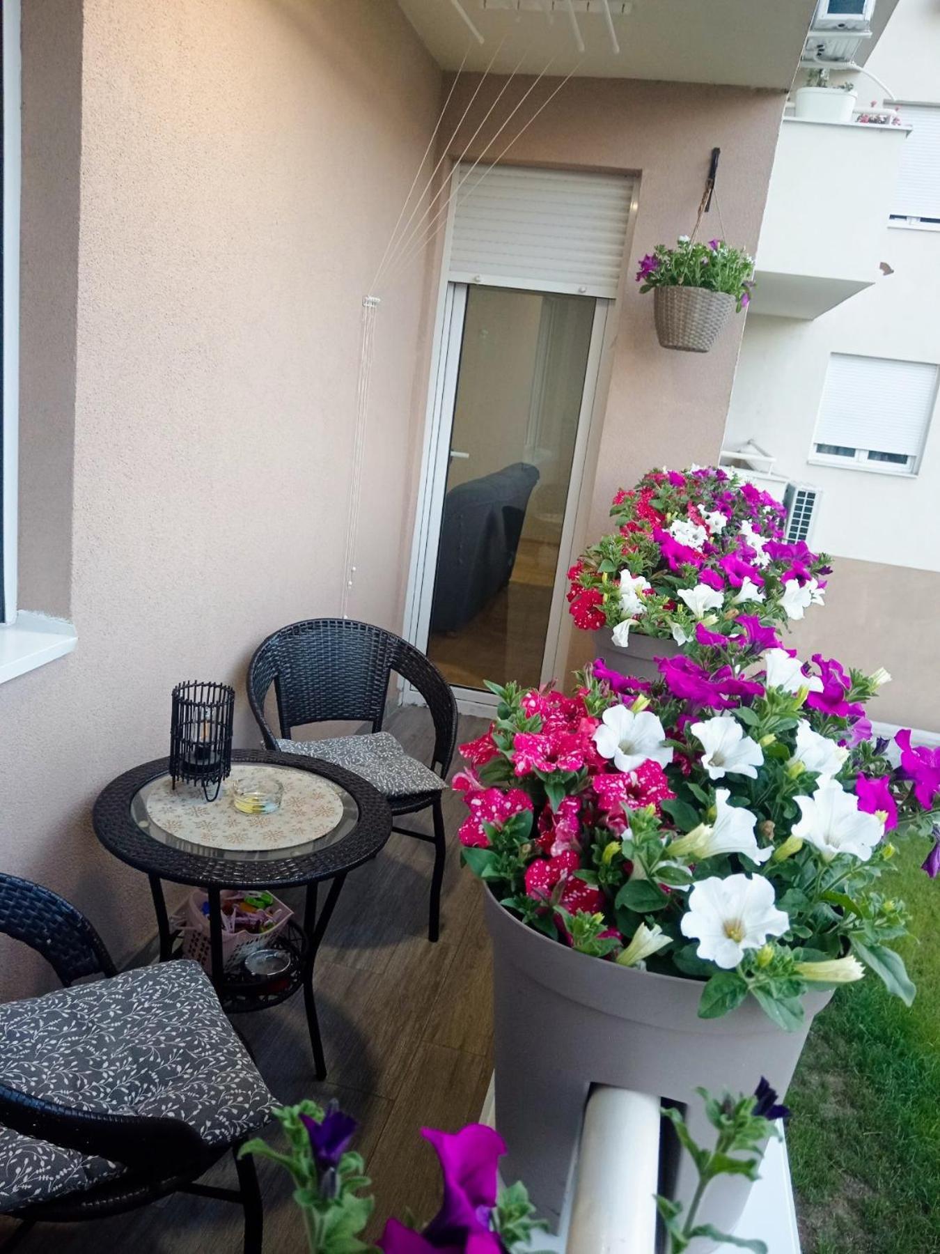 Apartman Lara ピロト エクステリア 写真
