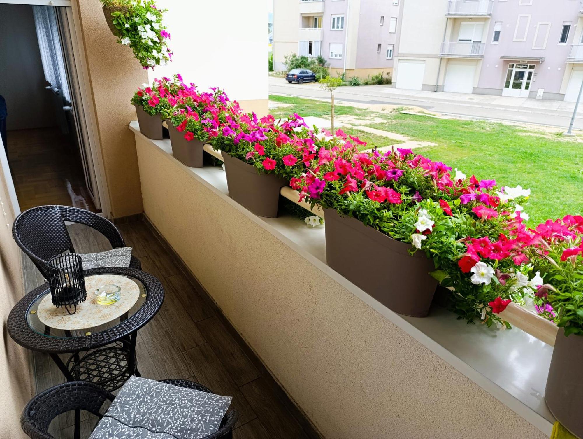 Apartman Lara ピロト エクステリア 写真
